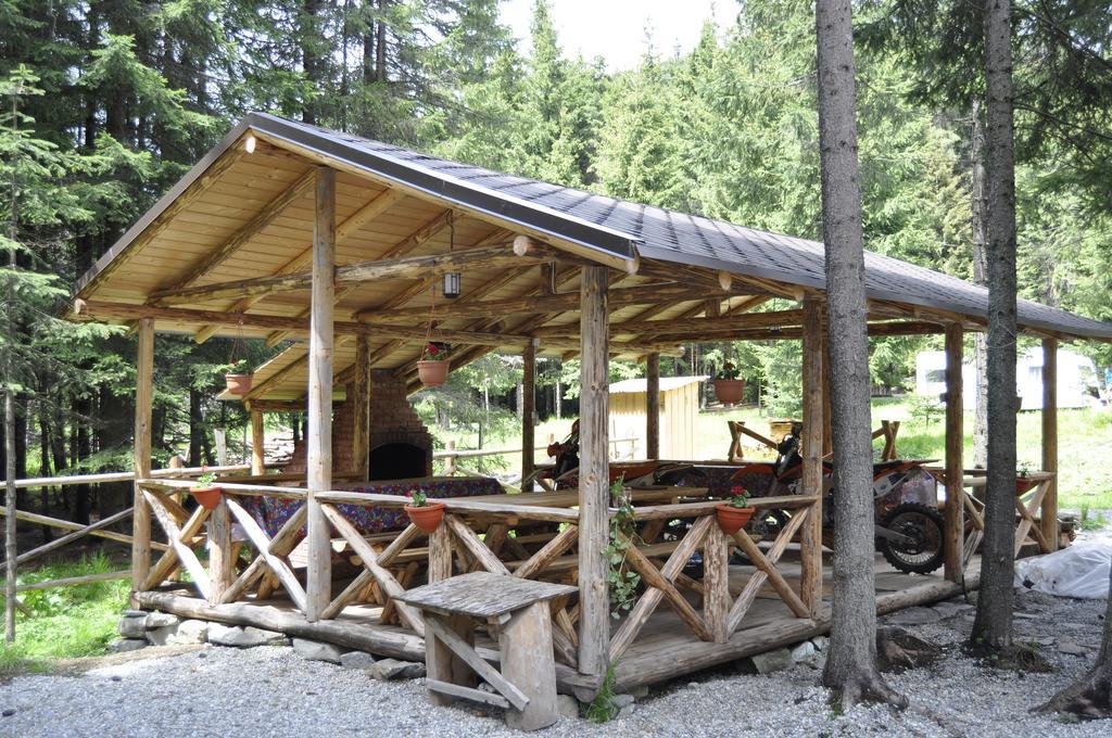 Complex Transalpina Lac 보이네아사 외부 사진