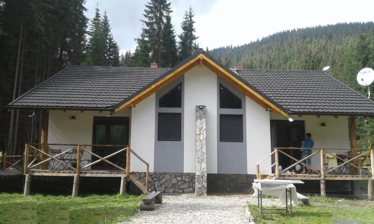 Complex Transalpina Lac 보이네아사 외부 사진