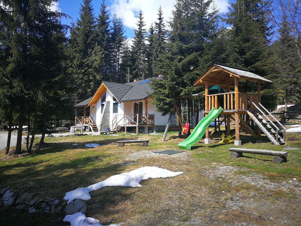 Complex Transalpina Lac 보이네아사 외부 사진
